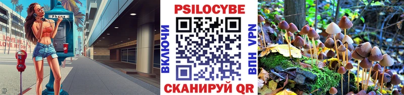 Псилоцибиновые грибы GOLDEN TEACHER  цены наркотик  Усть-Илимск 